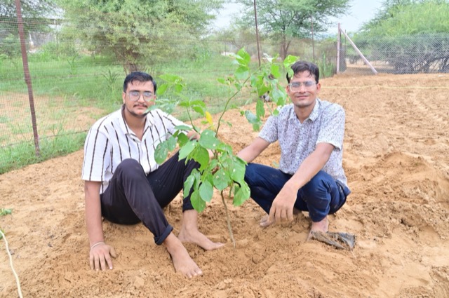 Plantation Drive - Photo 167