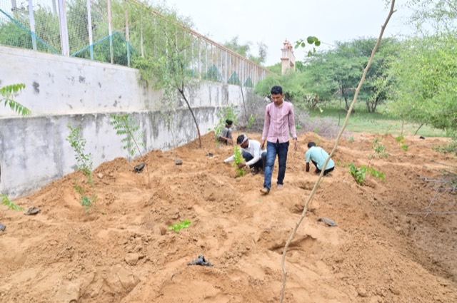 Plantation Drive - Photo 171