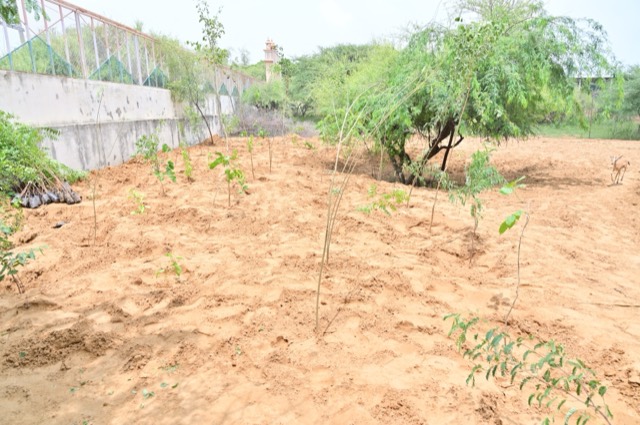 Plantation Drive - Photo 205