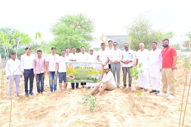 Plantation Drive - Photo 209