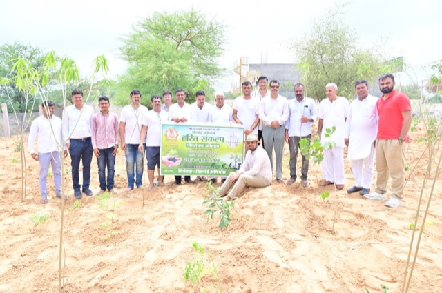 Plantation Drive - Photo 211