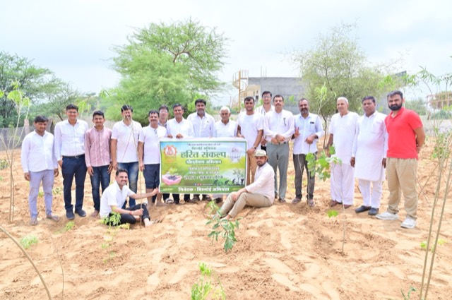 Plantation Drive - Photo 213