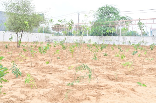 Plantation Drive - Photo 218