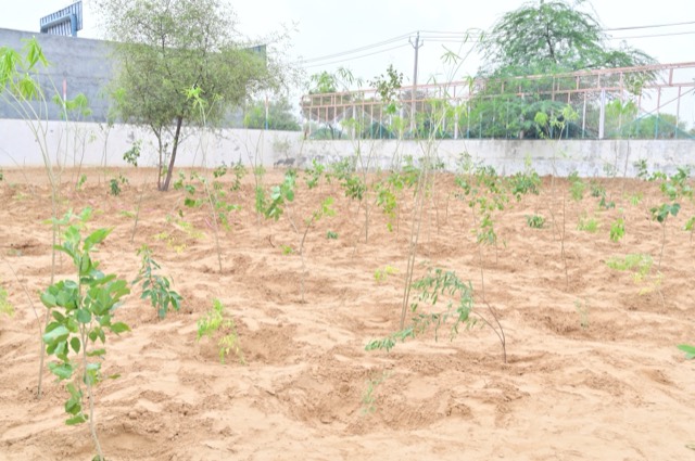 Plantation Drive - Photo 219