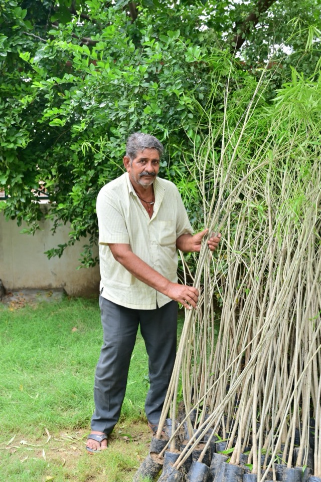 Plantation Drive - Photo 220