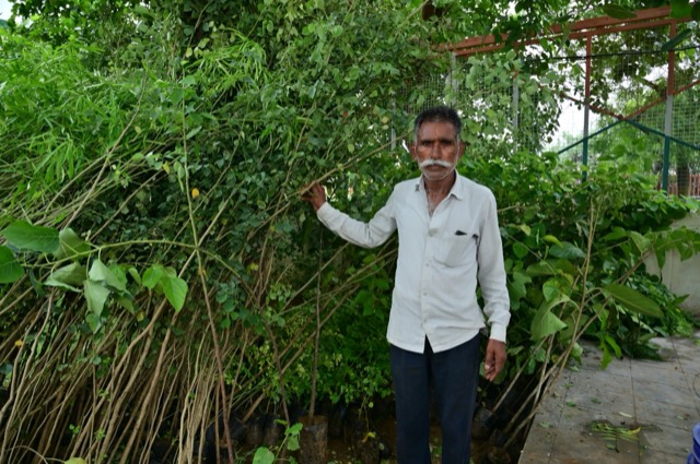Plantation Drive - Photo 224